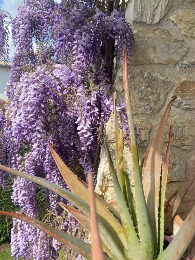 Bed & Breakfast Fior Di Toscana Serravalle Pistoiese