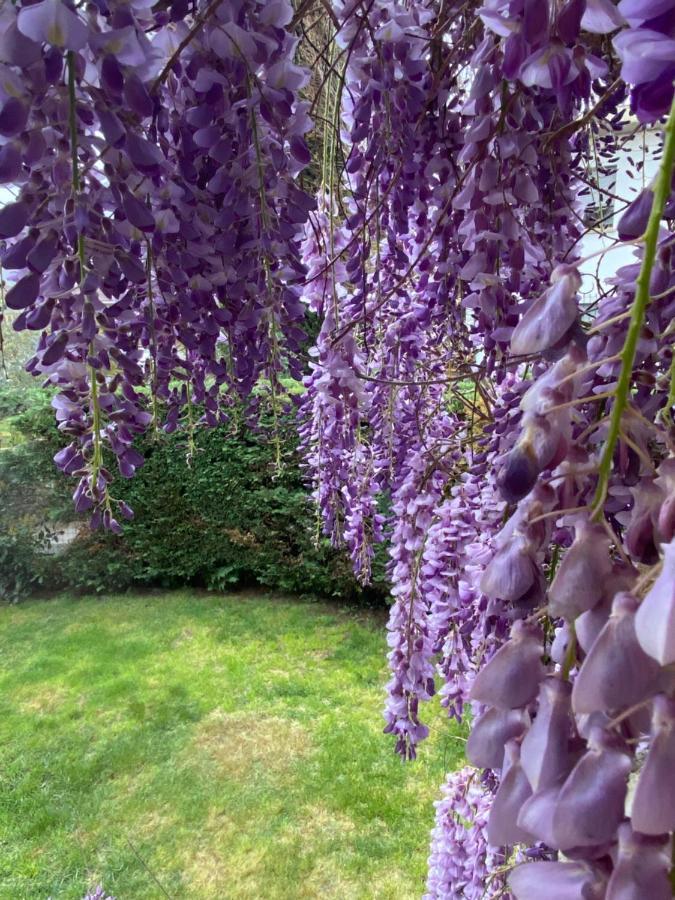 Bed & Breakfast Fior Di Toscana Serravalle Pistoiese